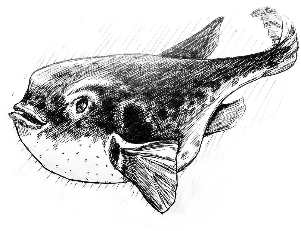 ../images/464548_1_En_2_Chapter/464548_1_En_2_Fig1_HTML.jpg